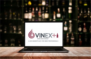 VINEX on computer screen