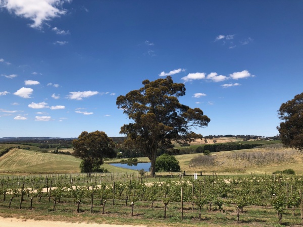 Australia lane