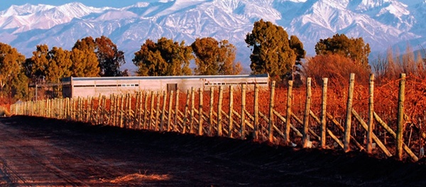 Fecovita winery